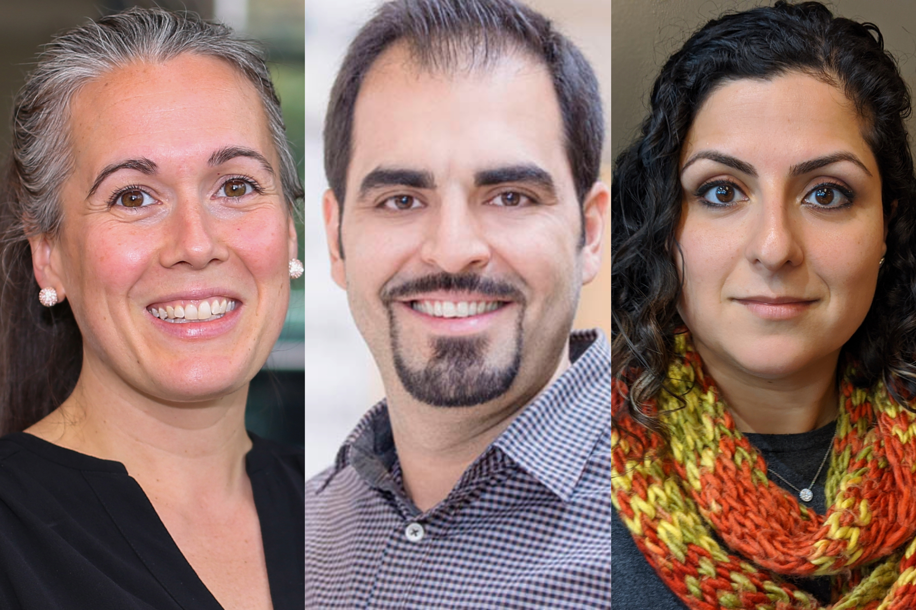 Recognizing early-career research excellence | Queen's Gazette